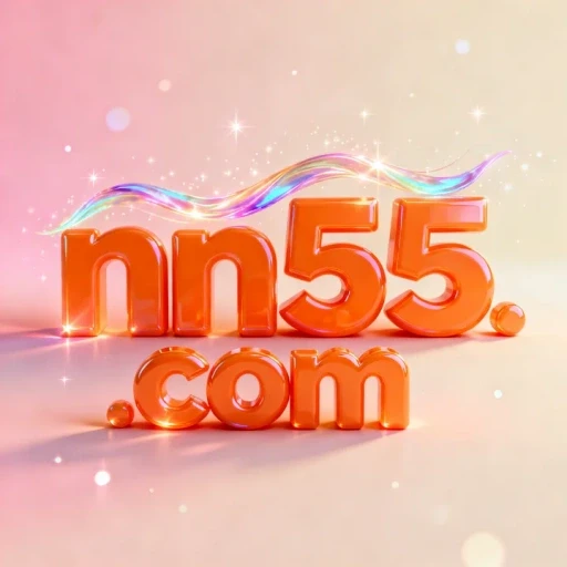 nn55.com